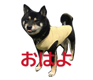 840788498