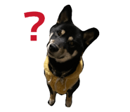 840788501