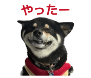 840788503