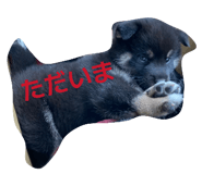 840788508
