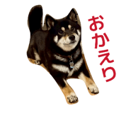 840788511