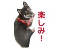 840788512