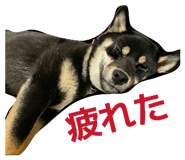 840788519