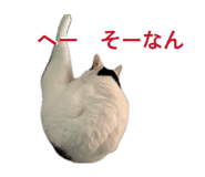 840788564