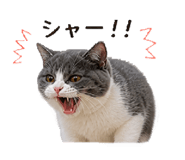 840788853