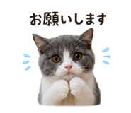 840788856