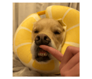 840789075