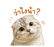 840791031