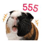 840791152