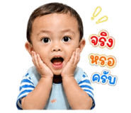 840791542
