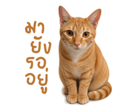 840791797