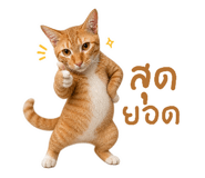 840791800