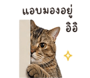 840791859