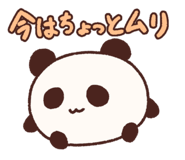 840793594
