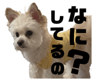 840793658