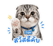 840793905