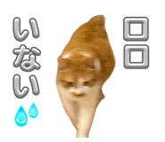 840793960