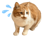 840793966