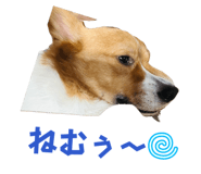 840794278