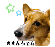 840794300
