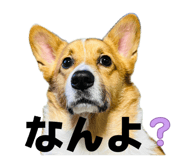 840794311