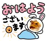 840794555