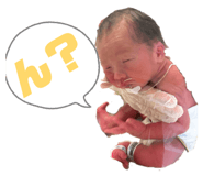 840794731
