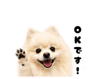 840795100