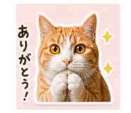 840795241