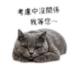 840795316