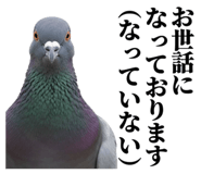840795545