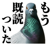 840795549