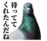 840795550