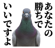 840795552