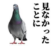 840795566