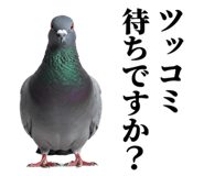 840795570