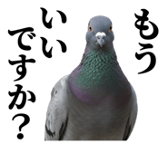 840795575