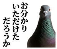 840795580