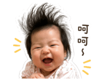 840796044
