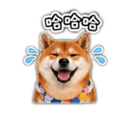 840796620