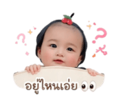 840798045