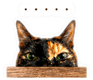 840798066