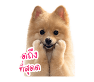 840799303