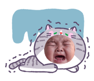 840800024