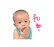 840800520