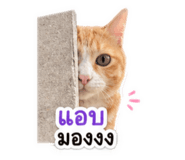 840801009