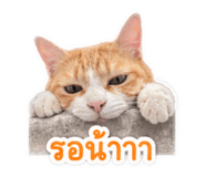 840801013