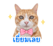 840801015