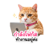 840801018
