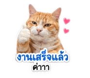 840801026